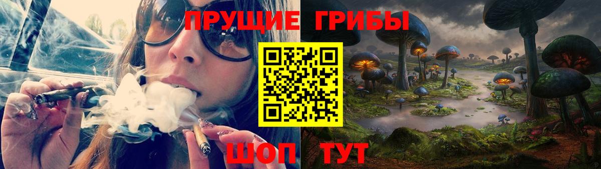 Вологда  закладки  Галлюциногенные грибы Psilocybine cubensis  Вход с VPN  Псилоцибиновые грибы Psilocybe 